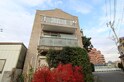 イマージュ