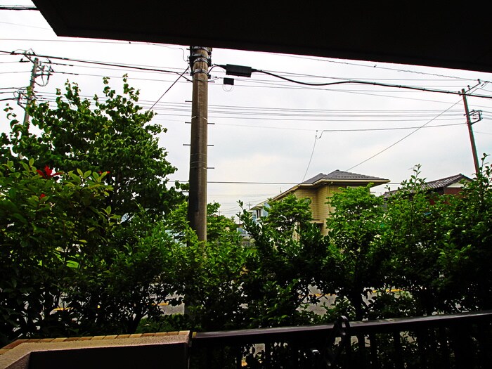 物件内観写真19　(室内からの展望)