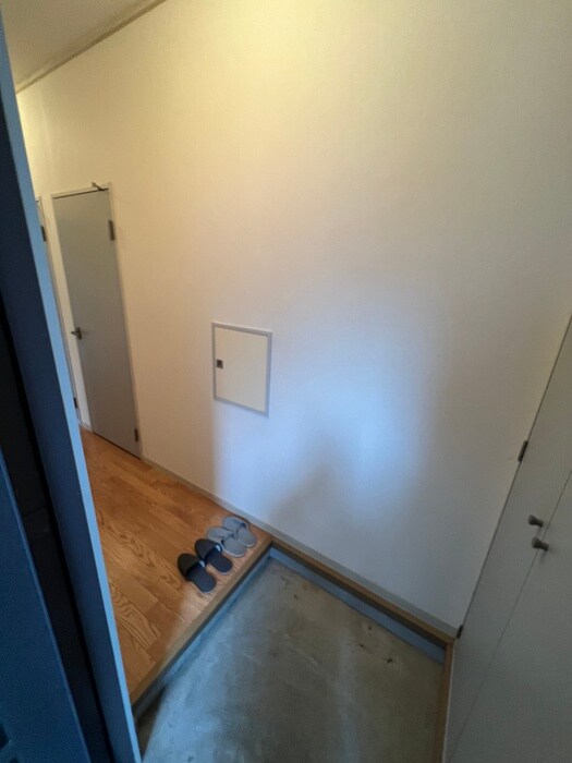 物件内観写真3　(玄関)