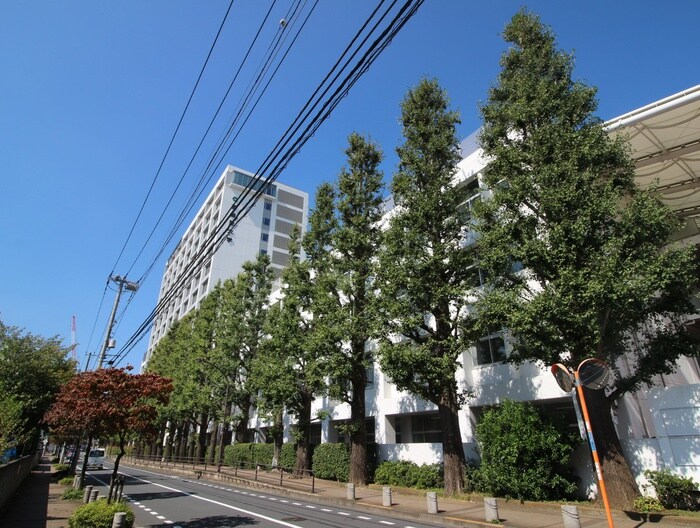 亜細亜大学