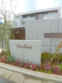 ｶｰｻｺﾗｯﾀ