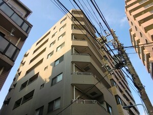 ｽﾃ-ｼﾞｸﾞﾗﾝﾃﾞ文京小石川(303)外観写真