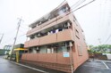 プリムローズ