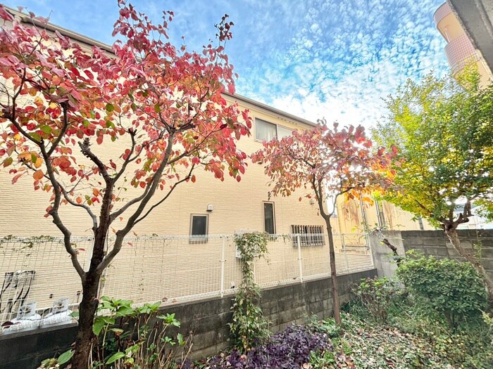 物件内観写真16　(室内からの展望)