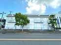 ジュネス初声