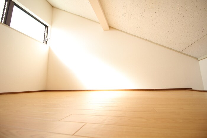 物件内観写真10　(ロフト)