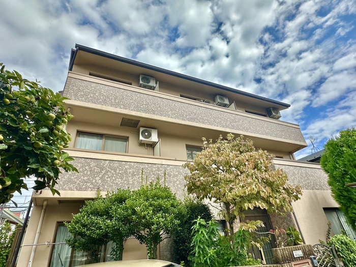 ＶＥＲＤＥ　ＥＳＴＵＤＩＯ