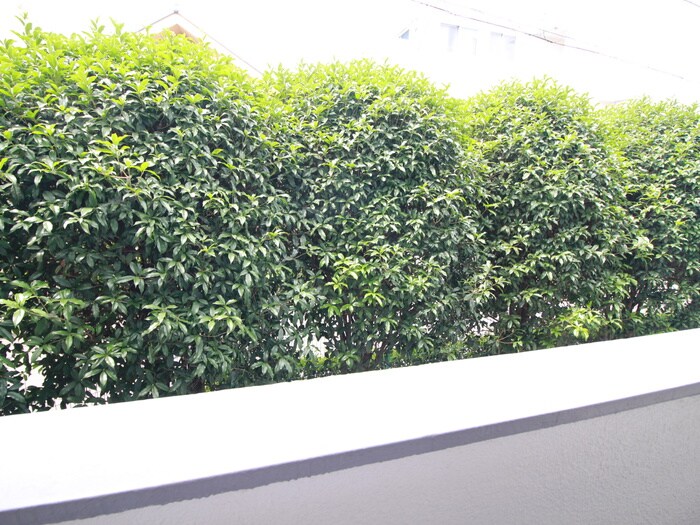 物件内観写真11　(室内からの展望)