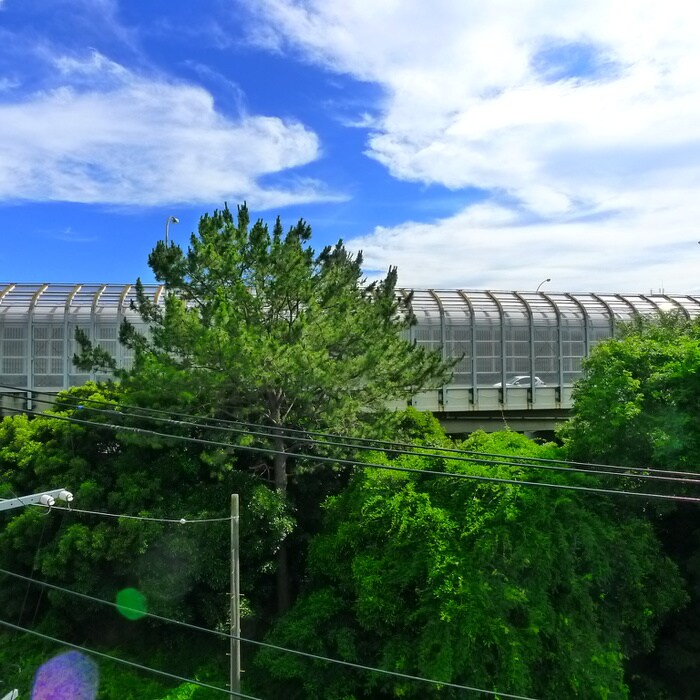 物件内観写真22　(室内からの展望)