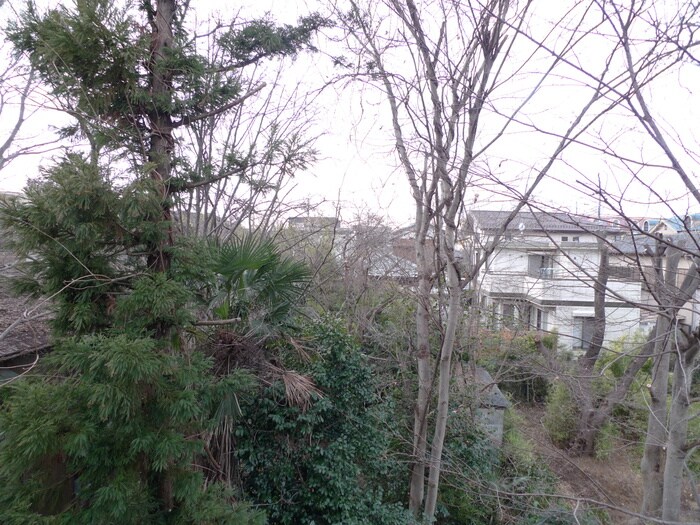 物件内観写真15　(室内からの展望)