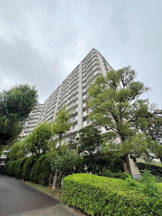 清新北ハイツ2号棟(1010)