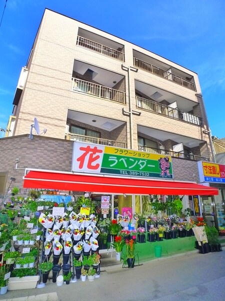 エルパティオ常盤平外観写真