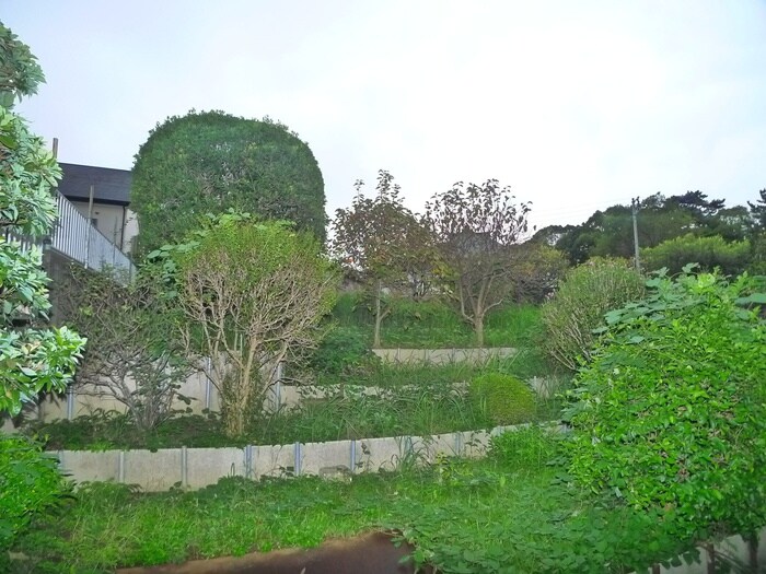 物件内観写真22　(室内からの展望)