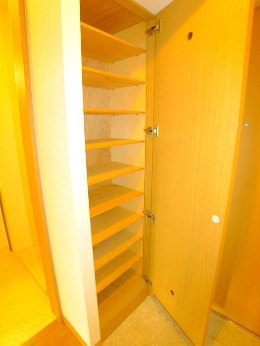 物件内観写真17　(靴箱)