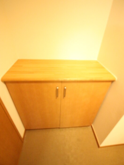 物件内観写真19　(靴箱)