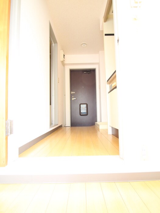 物件内観写真19　(廊下)