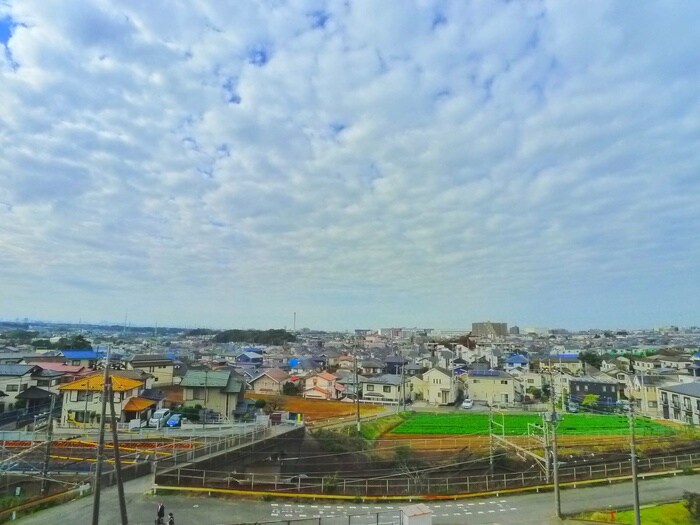 物件内観写真22　(室内からの展望)