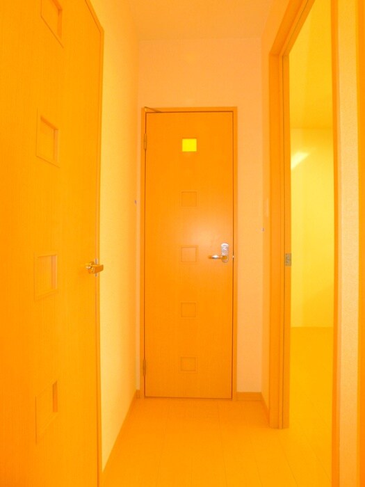 物件内観写真18　(廊下)