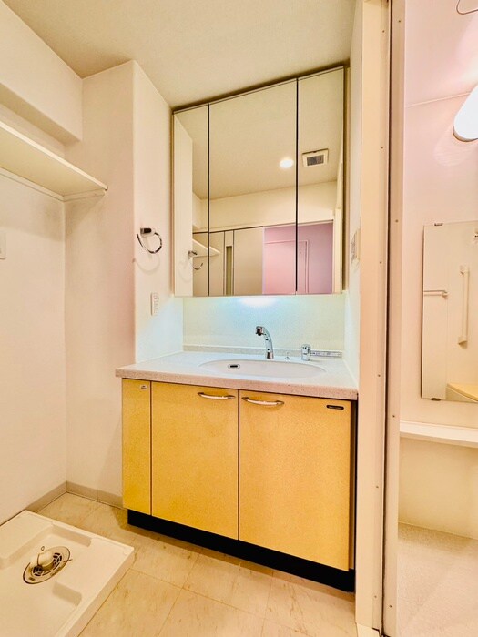 物件内観写真12　(洗面)