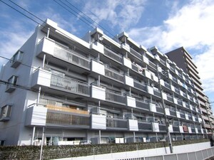 氷川台三丁目ﾊﾟｰｸ･ﾎｰﾑｽﾞ(204)外観写真