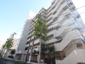 シティハイツ板橋本町(503)外観写真