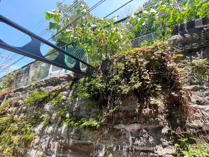 物件内観写真21　(室内からの展望)