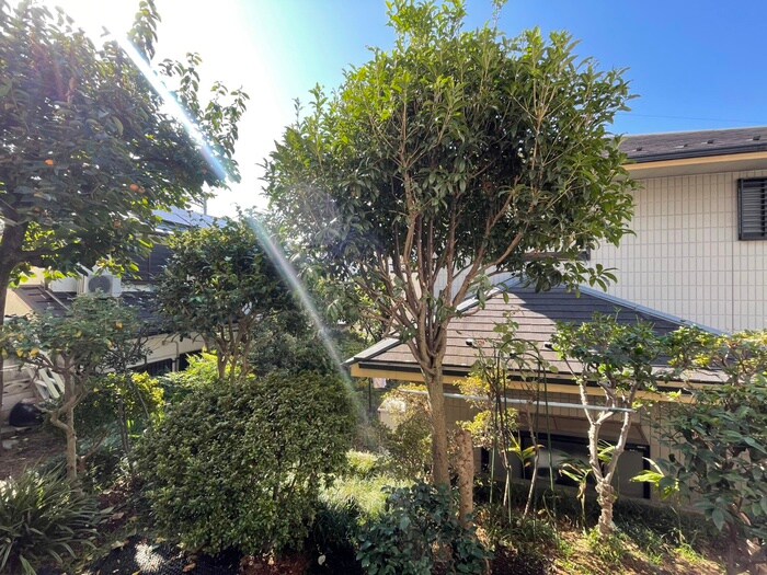 物件内観写真22　(室内からの展望)