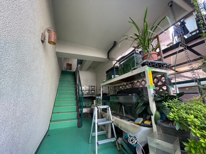 エントランス部分