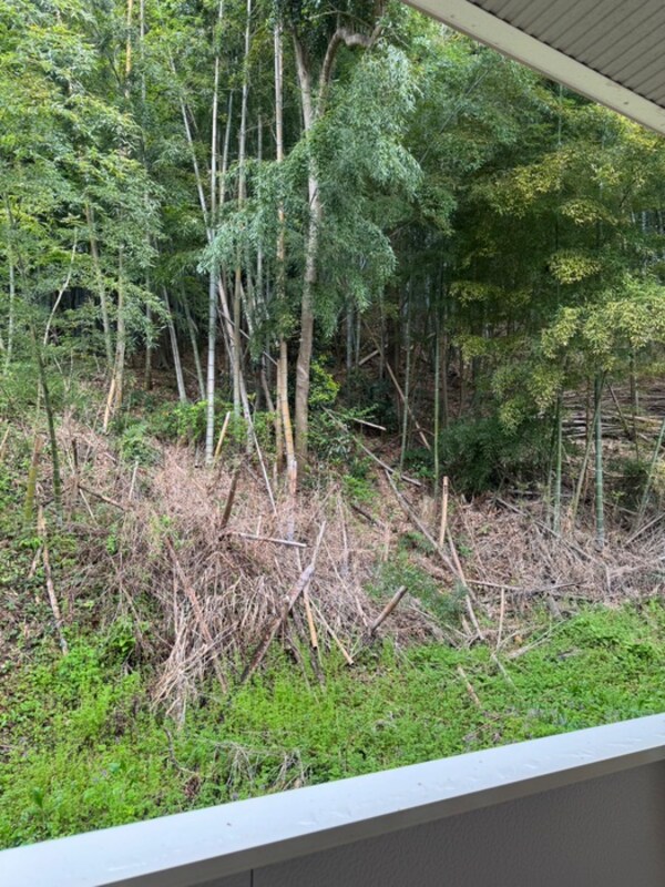 室内からの展望