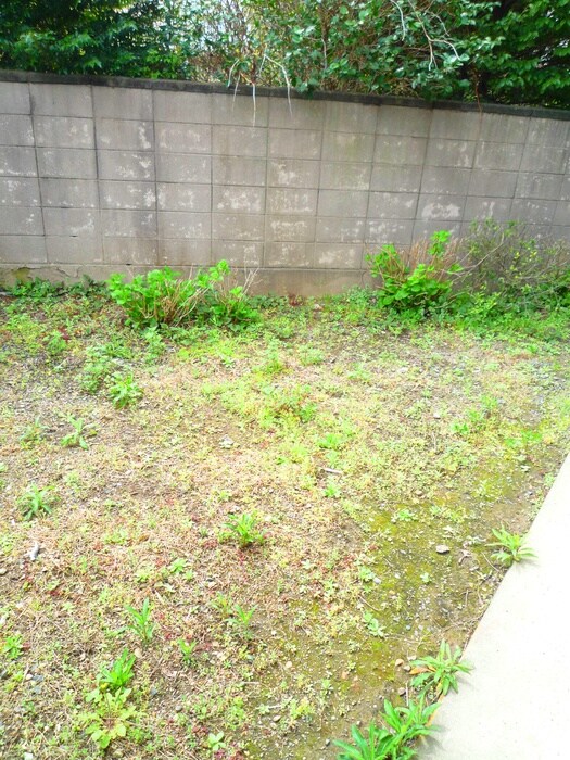 物件内観写真11　(室内からの展望)