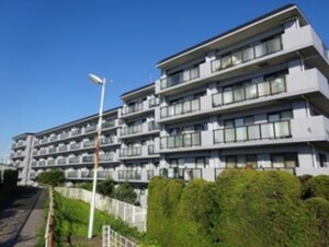 ﾗｲｵﾝｽﾞﾏﾝｼｮﾝ立石ﾘﾊﾞｰｻｲﾄﾞ(219)外観写真