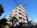 ﾗｲｵﾝｽﾞﾏﾝｼｮﾝ八王子北野(304)