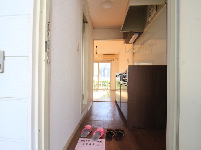 ﾊｲﾑ東つつじの廊下