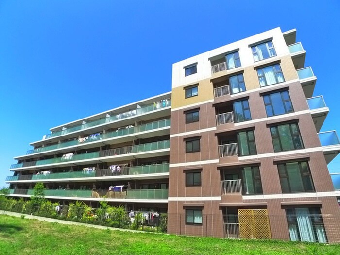 アンビシャス南柏（607）の物件外観写真