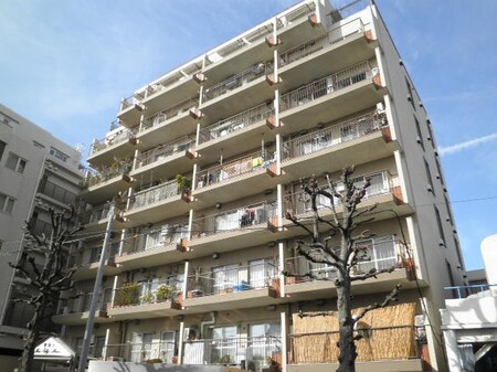 学芸大ﾆｭｰｽｶｲﾏﾝｼｮﾝ(306)外観写真
