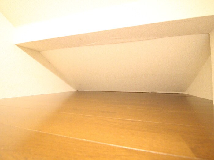 物件内観写真17　(居室)