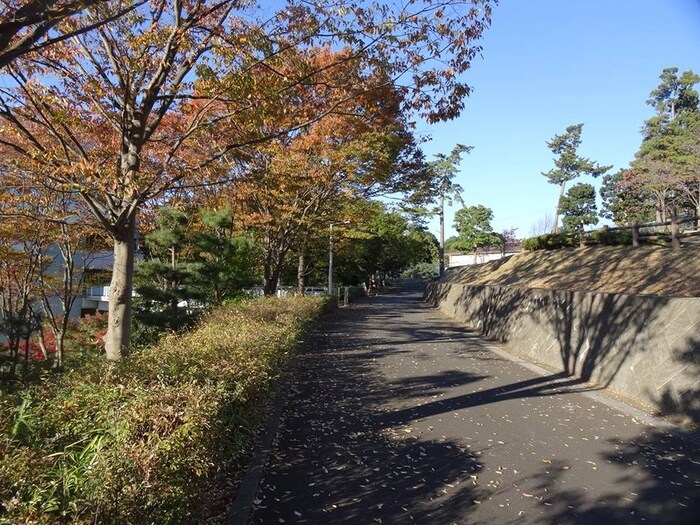 物件外観写真6　(周辺環境)