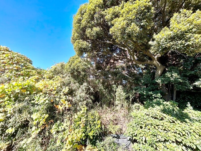 物件内観写真12　(室内からの展望)