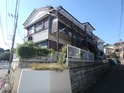 ホウレンソウ