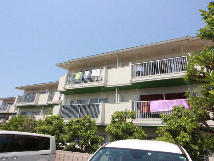 物件内観写真20　(靴箱)