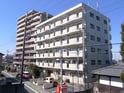 スリーゼヒル