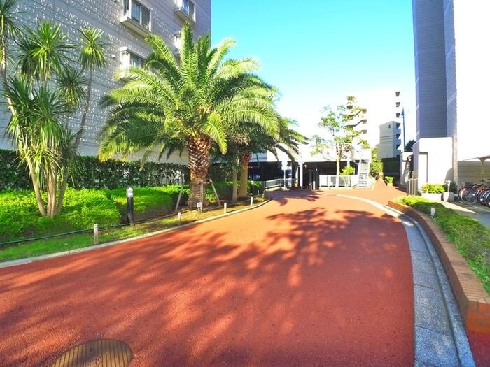 サンパセオ新柏E号棟（806）のその他