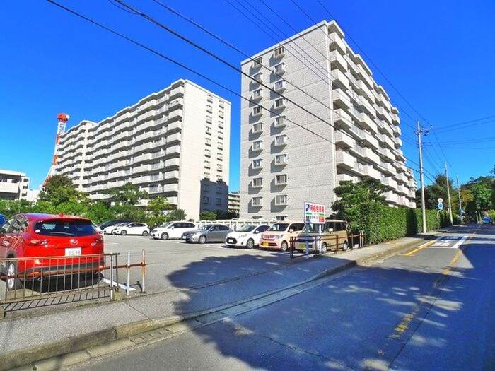 サンパセオ新柏E号棟（806）の周辺環境