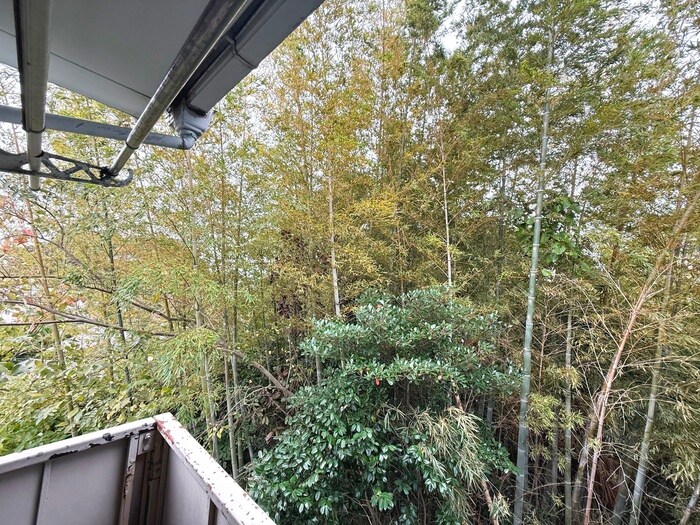 物件内観写真19　(室内からの展望)