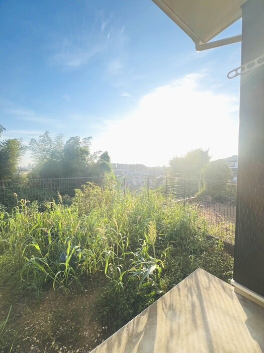 物件内観写真19　(ベランダ・バルコニー)