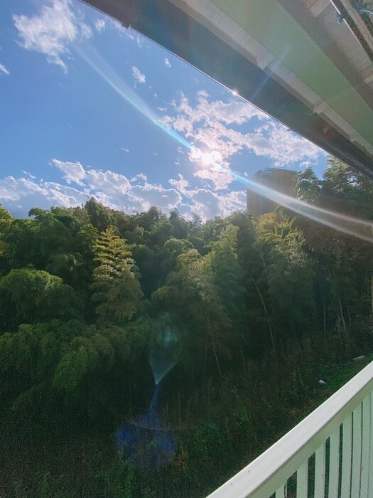 物件内観写真20　(室内からの展望)