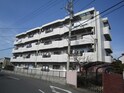フラットハガ
