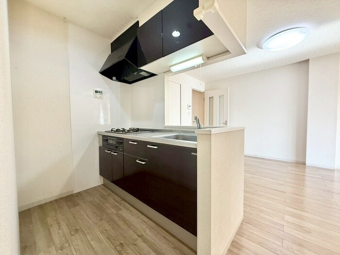 物件内観写真11　(キッチン)