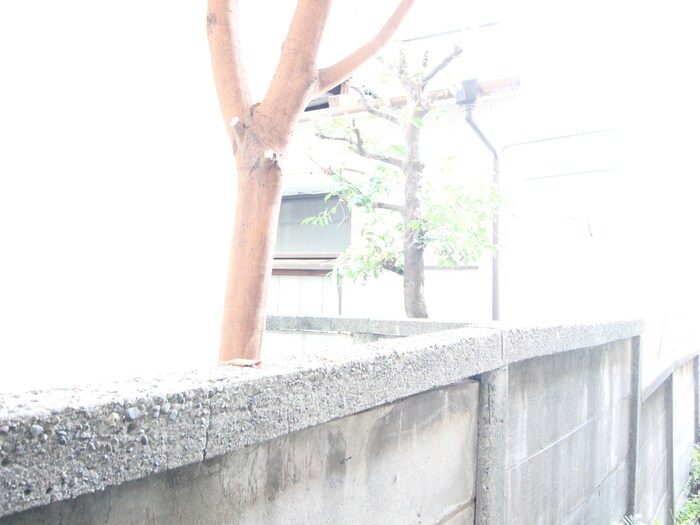 物件内観写真11　(室内からの展望)