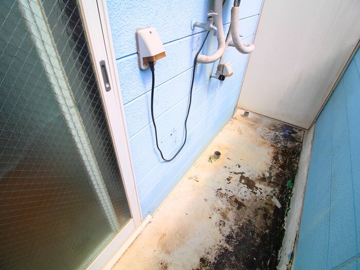 物件内観写真19　(洗濯機置場)